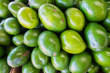 Avocado