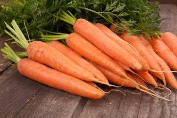 carrot