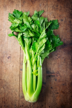 celery