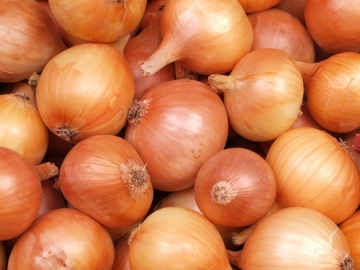 onion