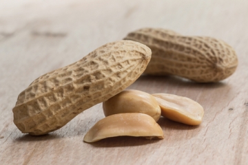 peanut