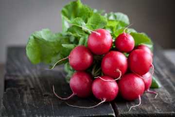 radish