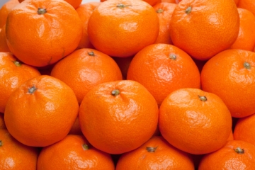 satsuma