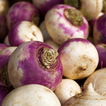 turnip