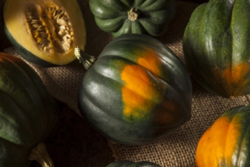 winter squash
