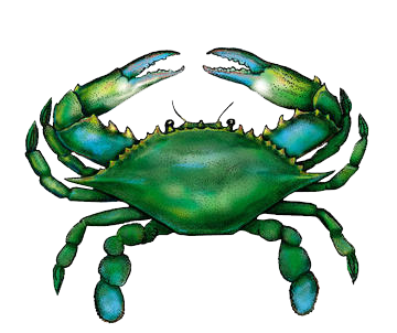 blue-crab-transparent