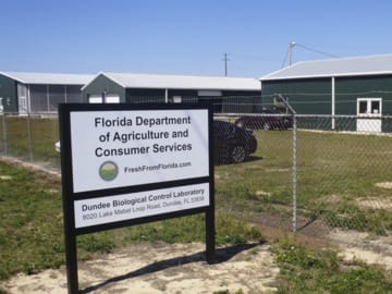 Dundee Biological Control Laboratory 3 4 2016b