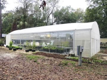 Gainesville Biological Control Laboratory - Greenhouse