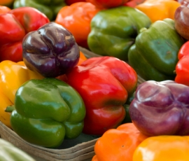 Bell Pepper.jpg