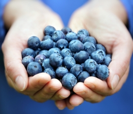 blueberries.jpg