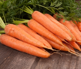 carrot.jpg