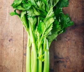 celery.jpg