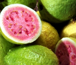 guava.jpg