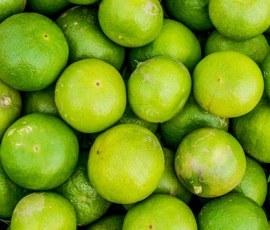 lime.jpg