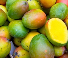 mango.jpg