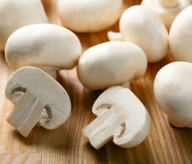 mushroom.jpg