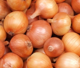 onion.jpg