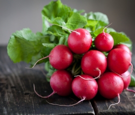 radish.jpg