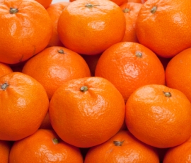 satsuma.jpg