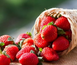 strawberry.jpg