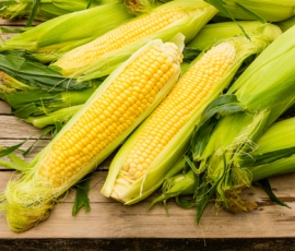 sweet corn.jpg