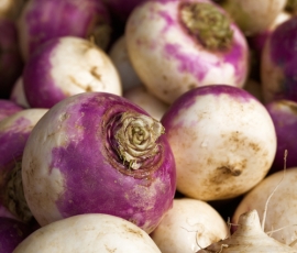 turnip.jpg
