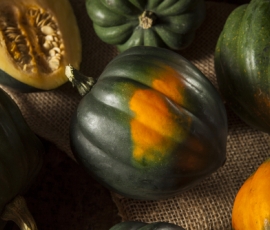 winter squash.jpg
