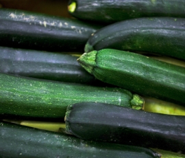 zucchini.jpg