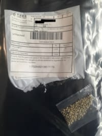 seed-package