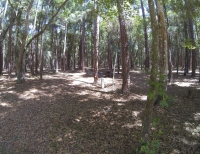 HogIsland