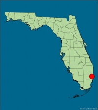 Dania Beach Broward County 7-17