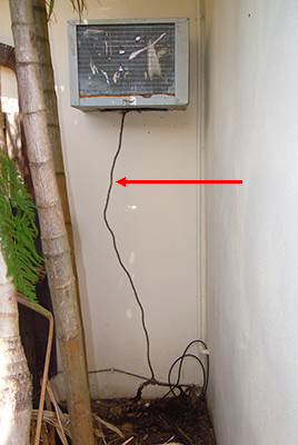 Tunnel_on_house_wall_arrow
