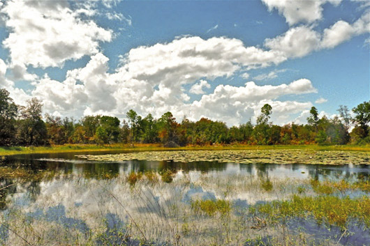 2012_annual_pond_SSF.jpg