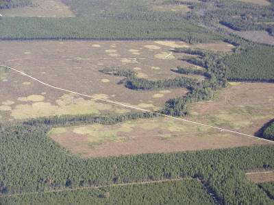 aerial_cogon_timber_sites.JPG