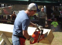Assistance at Forestry Festival