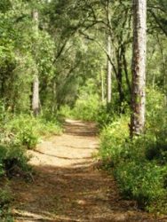 CDM_Recreation_Trail_sml.jpg