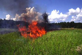 COGONGRASS_BURN_HDQTS.JPG