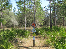 Hiking_Trail_on_Joshua_Creek_Tract_Sml