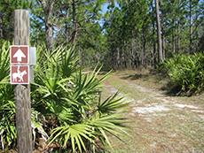 Horse_Trail_on_Joshua_Creek_Tract_Sml