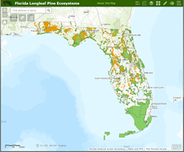 longleaf_webmap.png