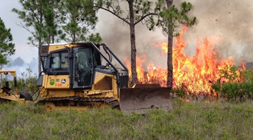 medium_dozer.jpg