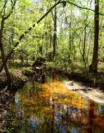 NLSF_creek.jpg