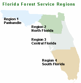 Click on a region in Florida to find a list of the State Forest Resource Management Plans. Click on a region in Florida to find a list of the State Forest Resource Management Plans.