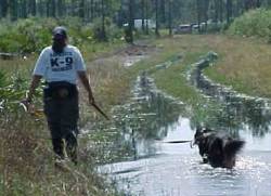 Search and Rescue Training
