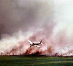 single_engine1.jpg