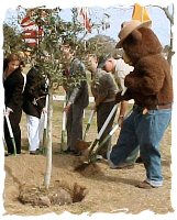 treeplantingwithSmoky.jpg