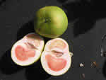 lopsided%20grapefruit_thumb