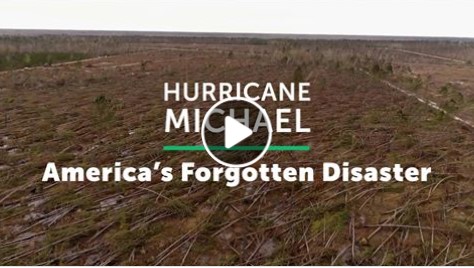 hurricane-michael-video-graphic