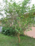 IMG_2112_thumb
