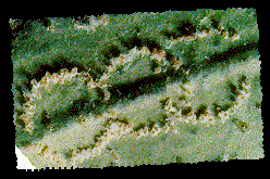 wool_3